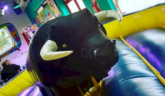 toro mecanico