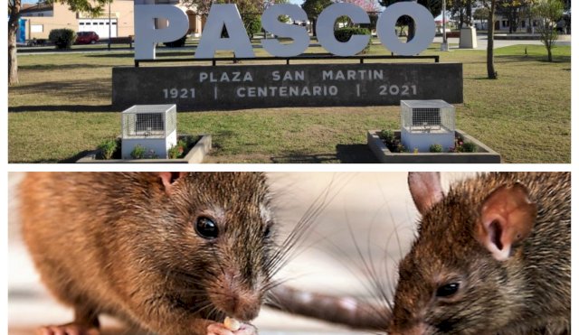 PASCO